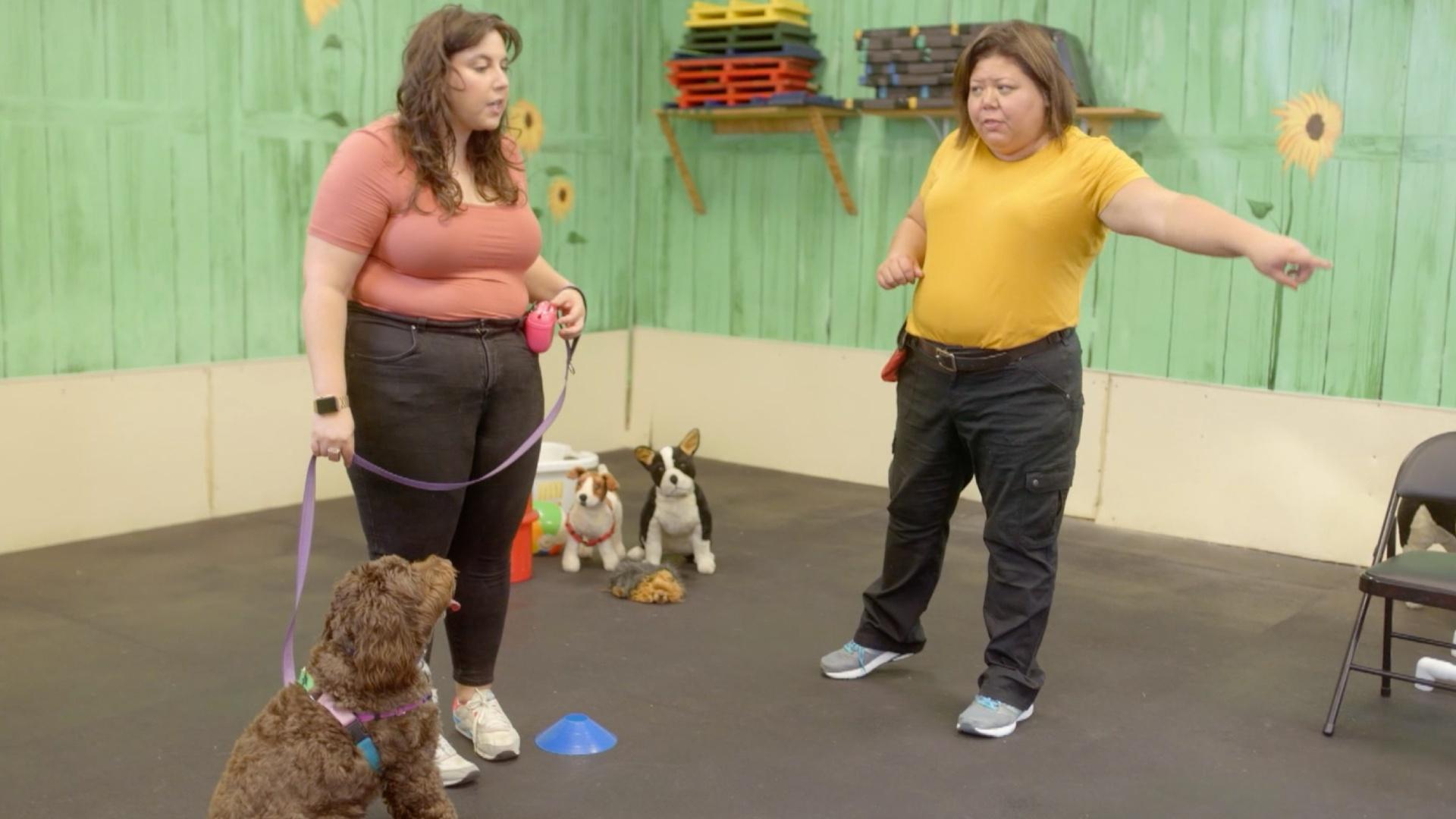 Professional dog trainer Carrie teaches Ellie training techniques and explains her job.