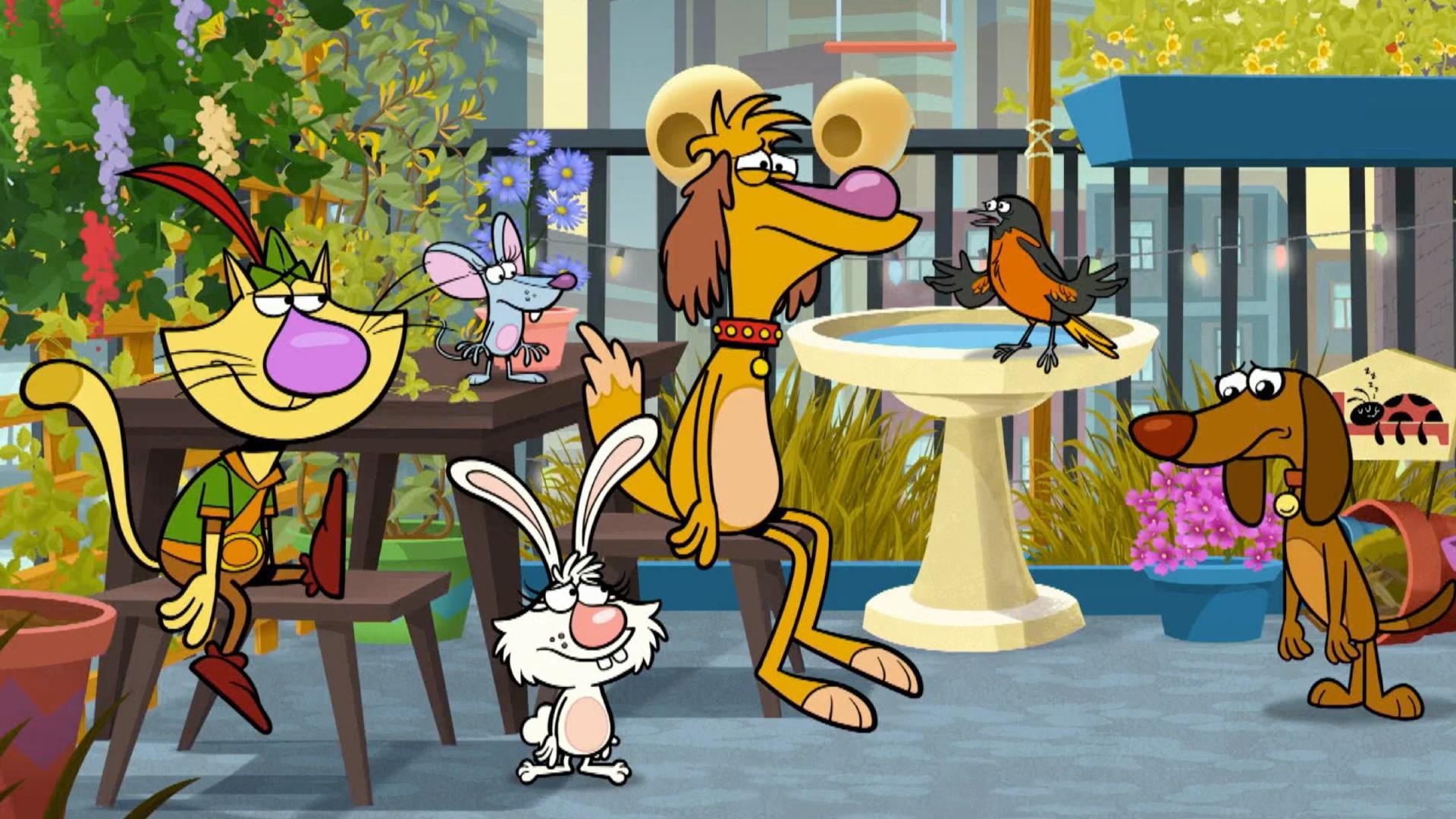 Brooks the bird flies into a window. / The gang wishes away all the wolves.