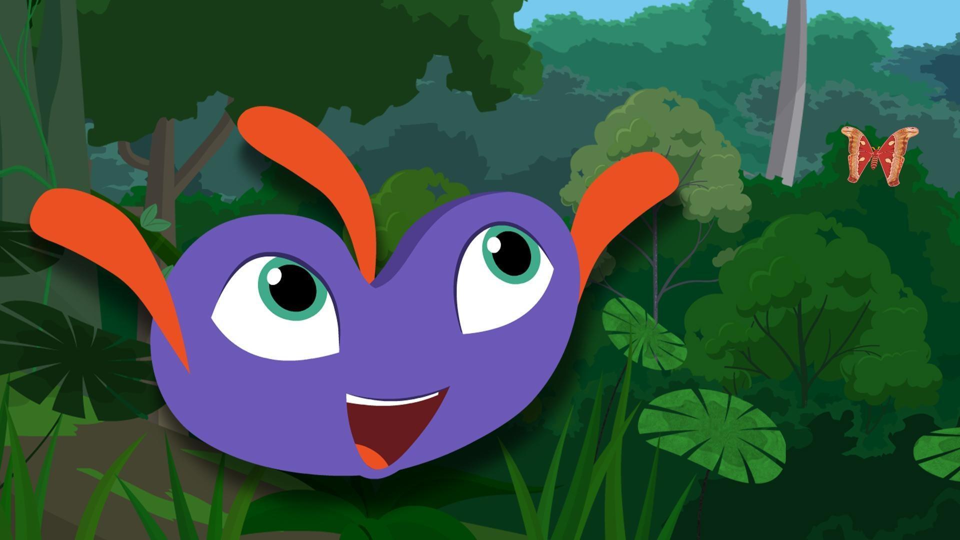 Plum explains what makes jungles so special.