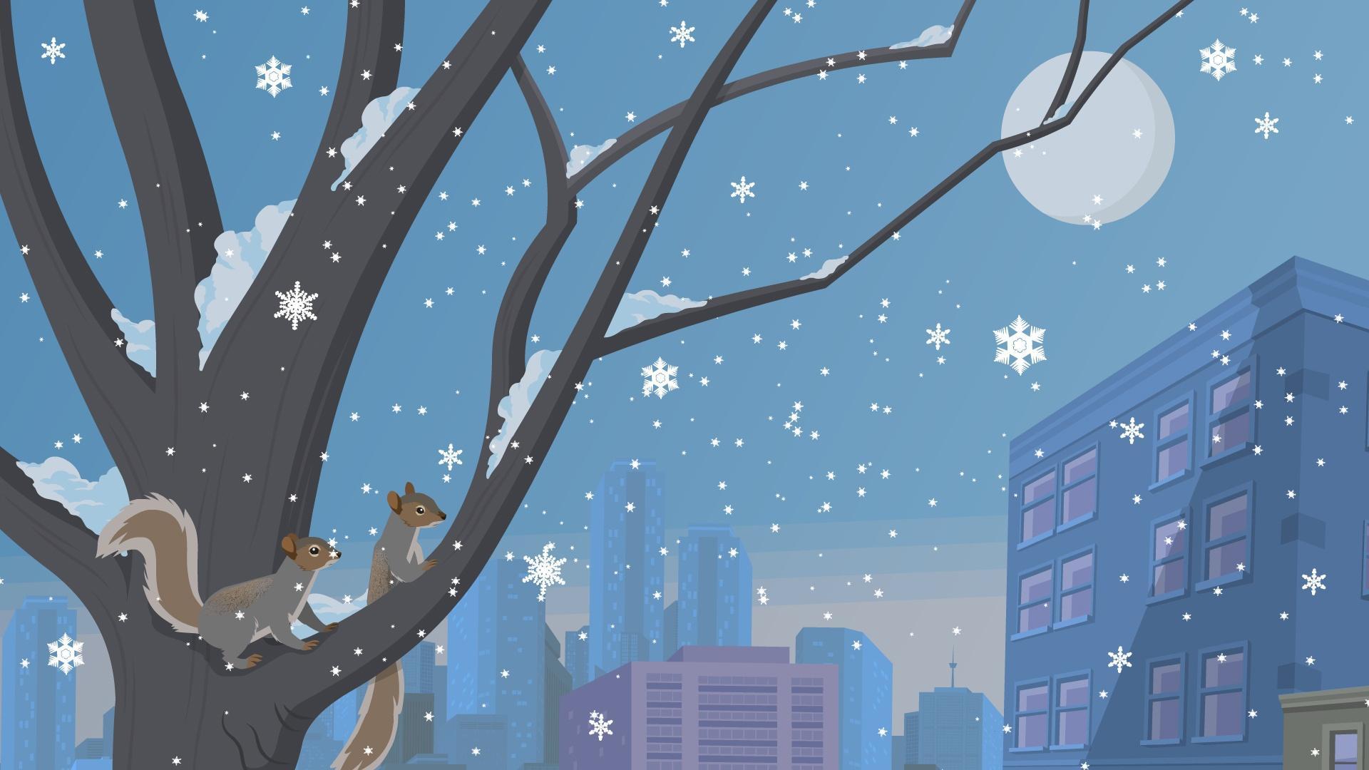 Curious Blorbians want to know – where does all the city snow go?