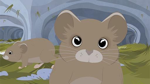 The Kratts get lost in a snowy field and uncover the secret world of the meadow vole.
