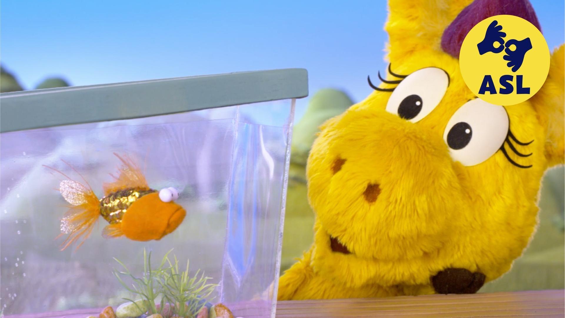 Donkey has fun on her own for a day./Donkey wants to be just like Fashion Penguin.